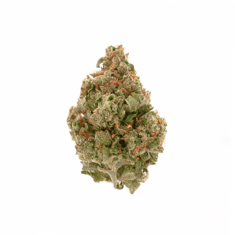 Buy Jack Herer Strain - Uplifting & Balanced Cannabis 1 Jack Herer