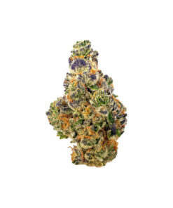 Buy Gumbo Indica Strain