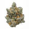 "Buy Original Z Strain - Sweet & Potent Hybrid Cannabis" 2 Original Z