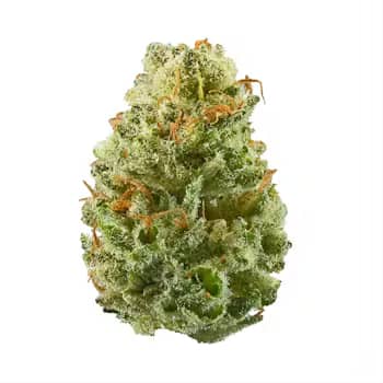 "Buy Fresh Strawberries - Sweet & Juicy Berries for Your Enjoyment" 1 Strawberries Kush For Sale
