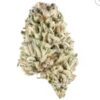 buy Biscotti indica strain 3 Buy Biscotti Indica Strain