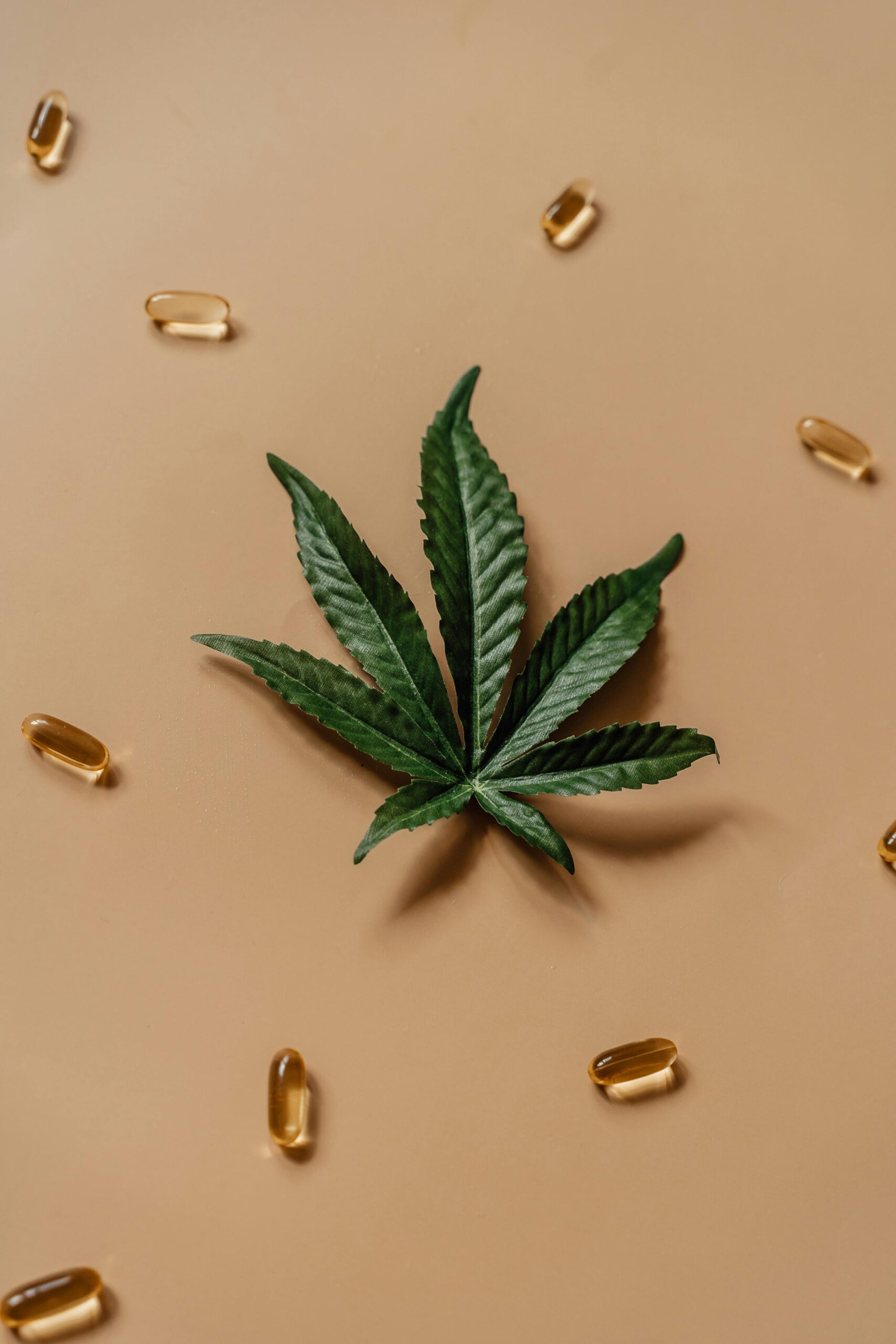 Order Full-Spectrum CBD Oil - Your Path to Natural Wellness 1 Order Full-Spectrum Cbd Oil - Your Path To Natural Wellness