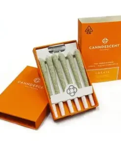 Canndescent Create 310 .5g Pre-roll 6 Pack