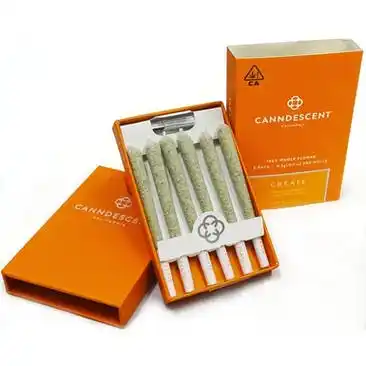 Canndescent Create 310 .5g Pre-roll 6 Pack 2 Canndescent Create 310 .5G