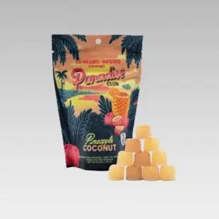 Pineapple Coconut Gummies 2 Pineapple Coconut Gummies