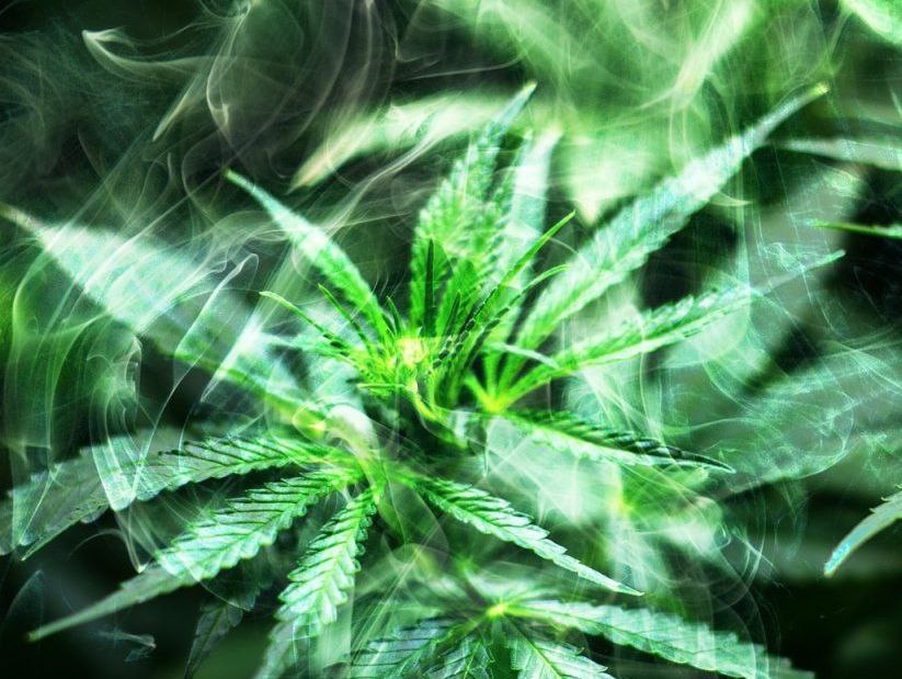 Photo 2025 11 05 15 15 19